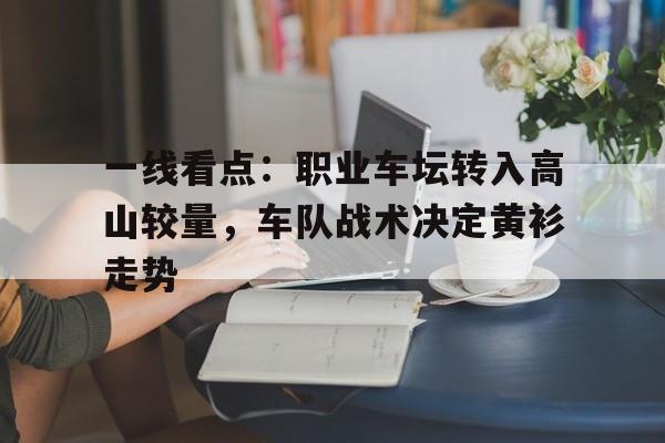 职业车手