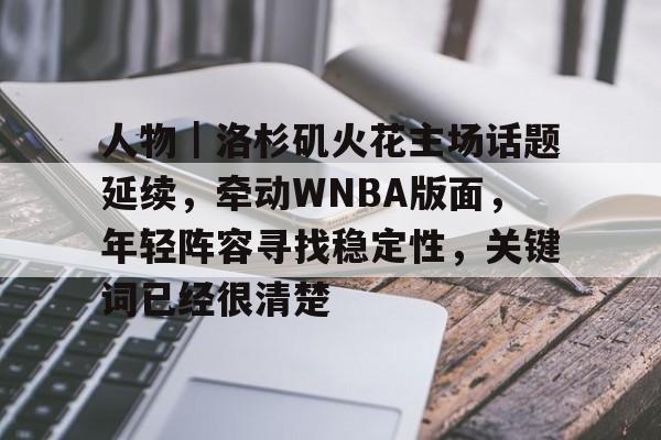 詹姆斯把天赋带到迈阿密原文全文